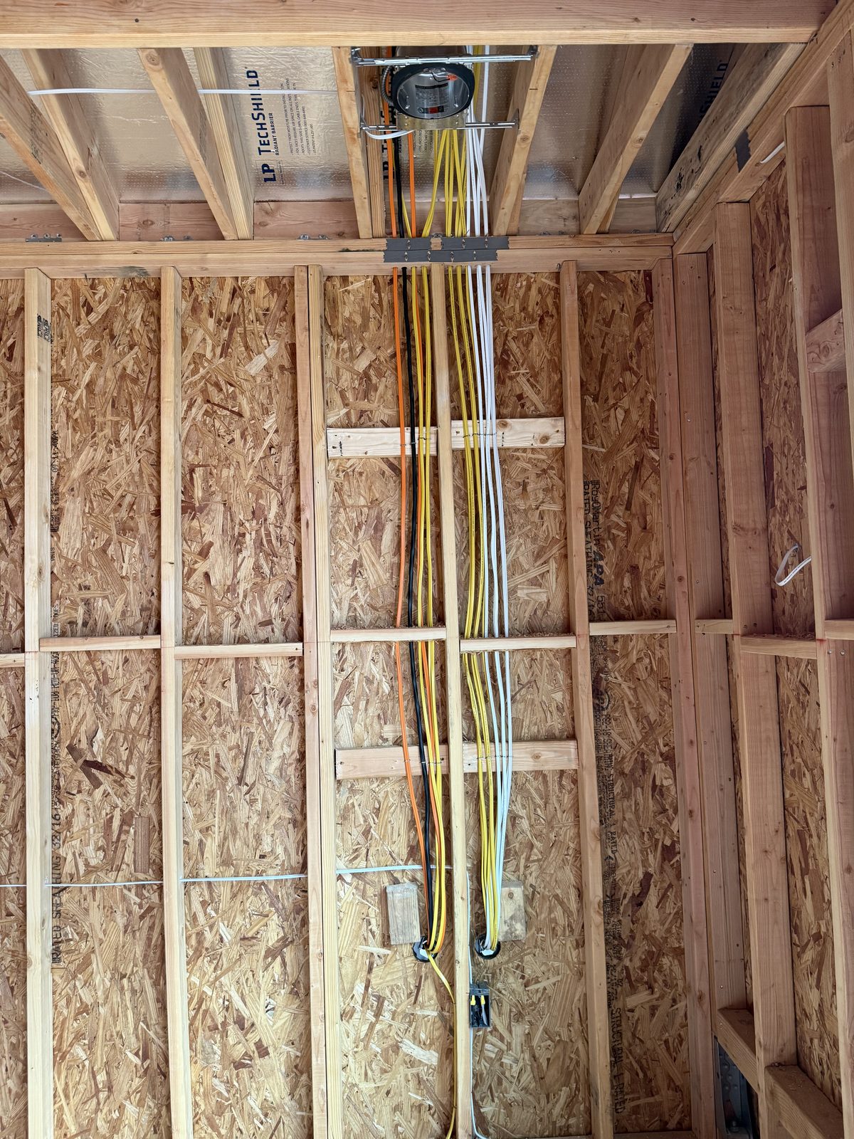 Clean organized rough-in wiring through framing on a new construction project